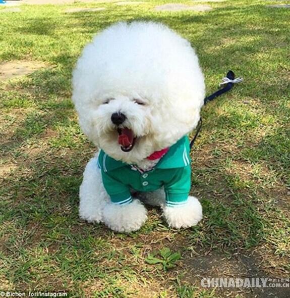 1467255630863412.jpg 03.jpg