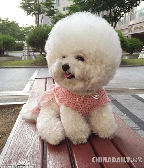 1467255649887201.jpg 05.jpg