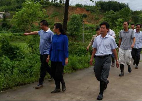 1467683679135642.jpg file0005.jpg