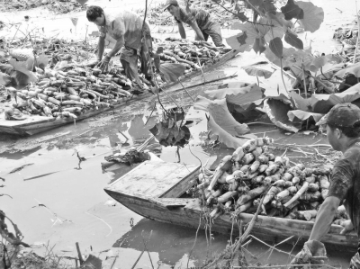 1468204880638703.jpg 1119197167_14682014526621n.jpg