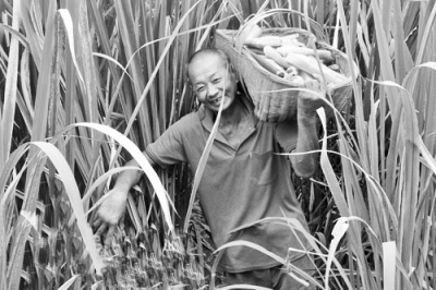 1468204914766930.jpg 1119197167_14682014527401n.jpg