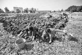 1468204934941759.jpg 1119197167_14682014527981n.jpg