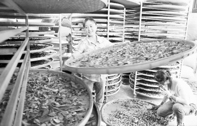 1468559548967959.jpg 1468518817743_1.jpg