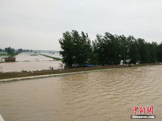 图为分蓄洪区现状。马芙蓉 摄