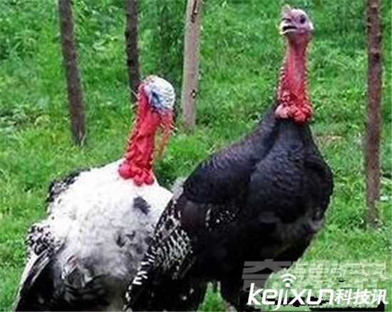 最令人惊奇的九大科学发现：平行宇宙已经被证实可以存在！