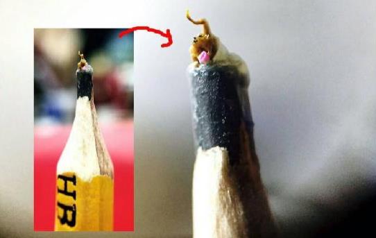 超微小的猴子（站在铅笔芯上，尺寸：一毫米）.jpg