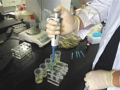 1470709656990520.jpg 02.jpg