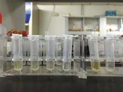 1470709667861825.jpg 03.jpg