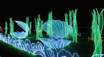 1470723601986291.jpg 10641638102462037545_11n.jpg