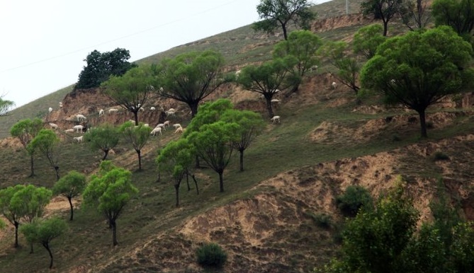 1470801452678596.jpg 005VUW4yzy6TDkMlCUs5c&690.jpg