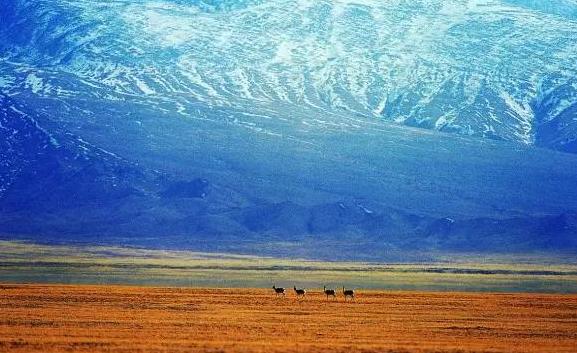 极致诱惑——阿尔金山