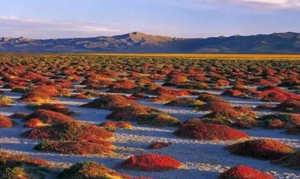 极致诱惑——阿尔金山