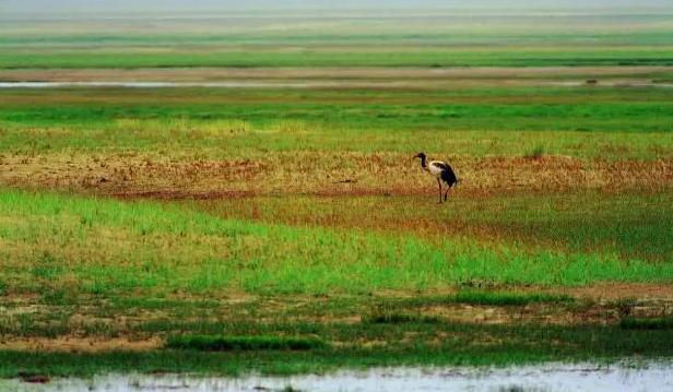 极致诱惑——阿尔金山