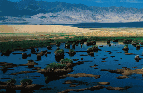 极致诱惑——阿尔金山