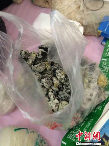 理疗店自制的发霉药品 家属供图
理疗店自制的发霉药品 家属供图