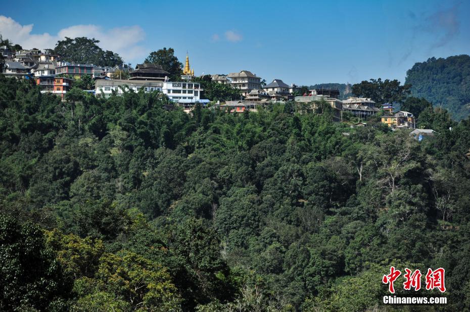 9月16日,云南澜沧景迈山上的少数民族村寨。云南澜沧景迈山,是普洱茶的主要产区之一,山上居住着拉祜族、布朗族、傣族等多个少数民族,这些少数民族世代制茶,景迈山得天独厚的自然环境和茶人们精湛的手艺使这里的普洱茶远近闻名。据景迈山翁基村布朗族村民介绍,他们的家庭年收入达到40万元左右,这在当地属于中等收入水平。据公开资料显示,景迈山的少数民族种茶有近2000年的历史。是普洱茶的原生地之一。 中新社记者 任东 摄