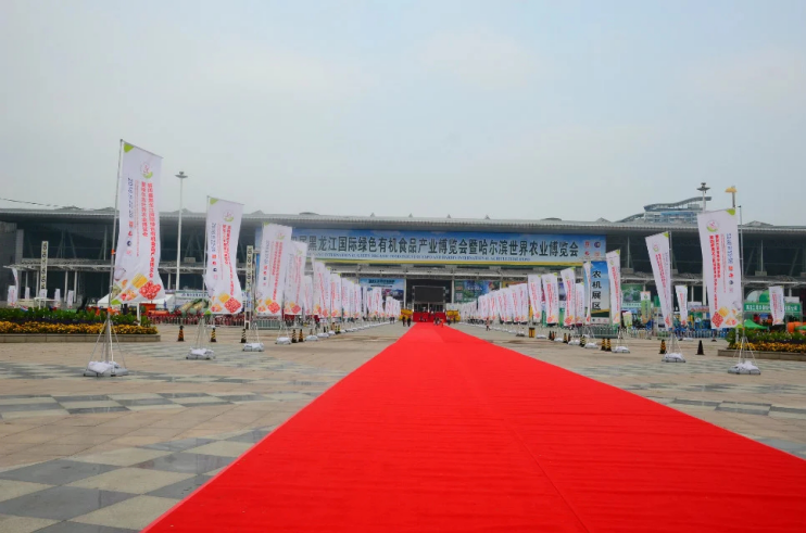 1474877580234410.png 1474877580234410.png