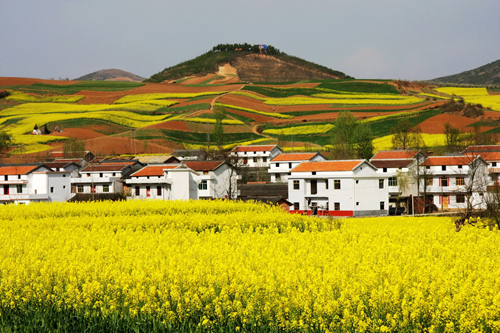 乡村风景 夏永光摄.JPG
