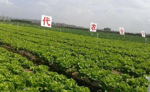 云南加快高原特色农业发展.jpg 云南加快高原特色农业发展.jpg