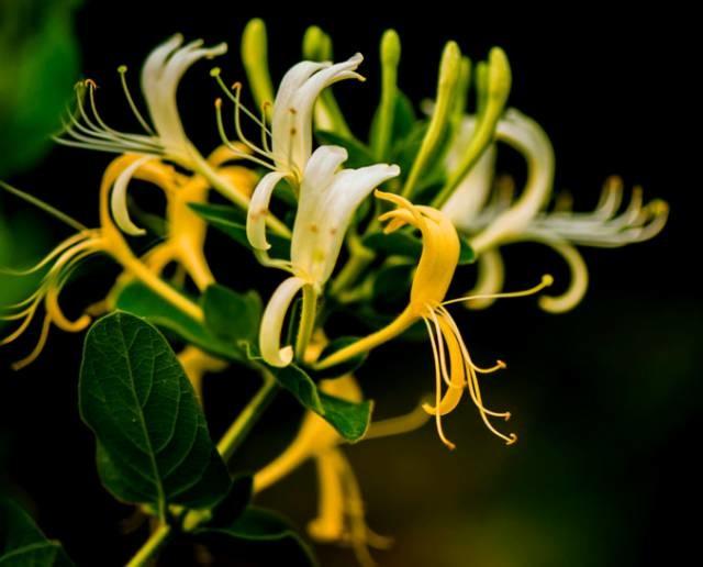 长期23点以后睡 小心这7个地方先坏！