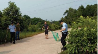 打狗队在处理犬只。  成都商报 图