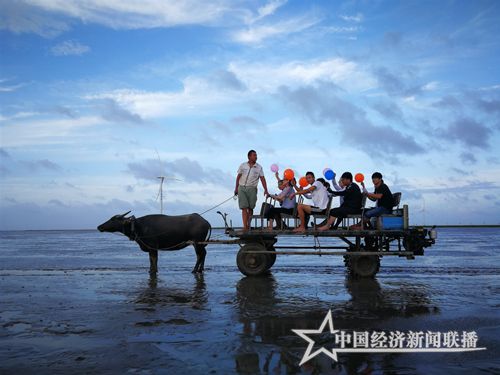 牛车赶海.jpg