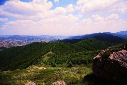 内蒙古兴和县持续构建首都北京绿色生态屏障