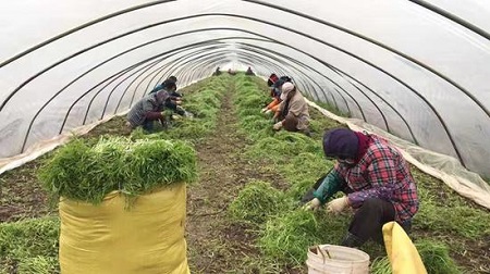 1 - 副本 - 副本 - 副本 - 副本 - 副本 - 副本 - 副本 - 副本 - 副本.jpg