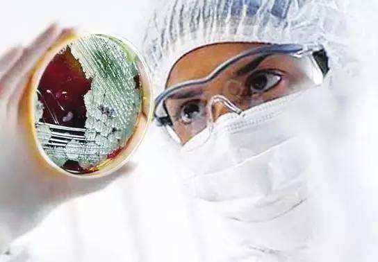 1 - 副本 - 副本 - 副本 - 副本 - 副本.jpg