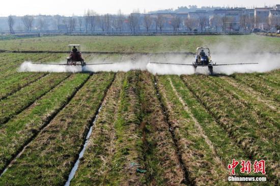 资料图:工作人员驾驶自走式喷雾机给小麦喷洒除草剂。泱波 摄 资料图:工作人员驾驶自走式喷雾机给小麦喷洒除草剂。泱波 摄