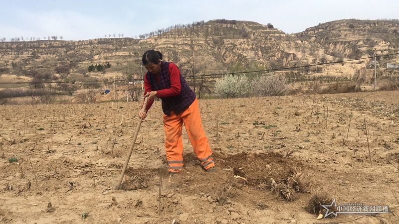 许四连正在地里劳作。王晶晶 摄.jpg
