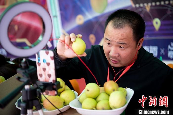 资料图：果农使用手机进行直播促销农产品。a target='_blank' href='http://www.chinanews.com/'中新社/a记者 韦亮 摄