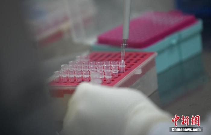 资料图：贵州省人民医院检验科进行核酸检测。 a target='_blank' href='http://www.chinanews.com/'中新社/a发 武敏 摄