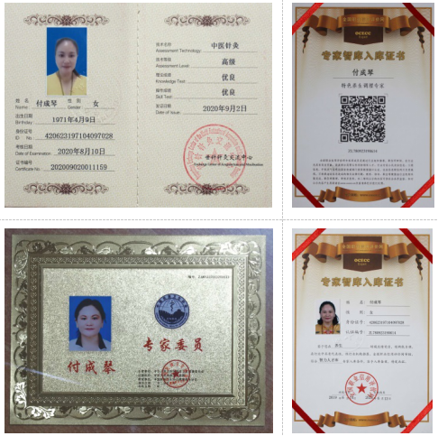 2 付成琴：针人合一是针灸的最高境界.png