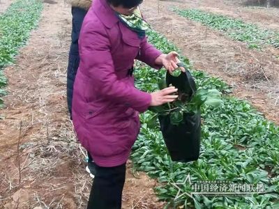 微信图片_20210202204430 (1).jpg