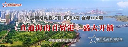 网络电视栏目《直通海南自贸港》.jpg