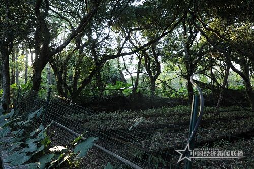 5K2A9147 - 副本.JPG