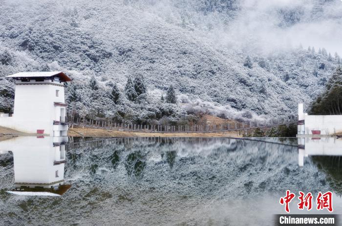 图为鲁朗雪景。资料图。鲁朗景区管委会供图 图为鲁朗雪景。资料图。鲁朗景区管委会供图