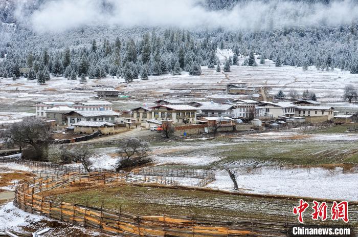 图为鲁朗雪景。资料图。鲁朗景区管委会供图 图为鲁朗雪景。资料图。鲁朗景区管委会供图