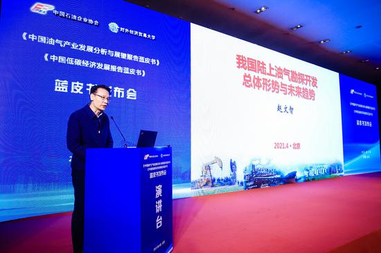 中国工程院院士赵文智