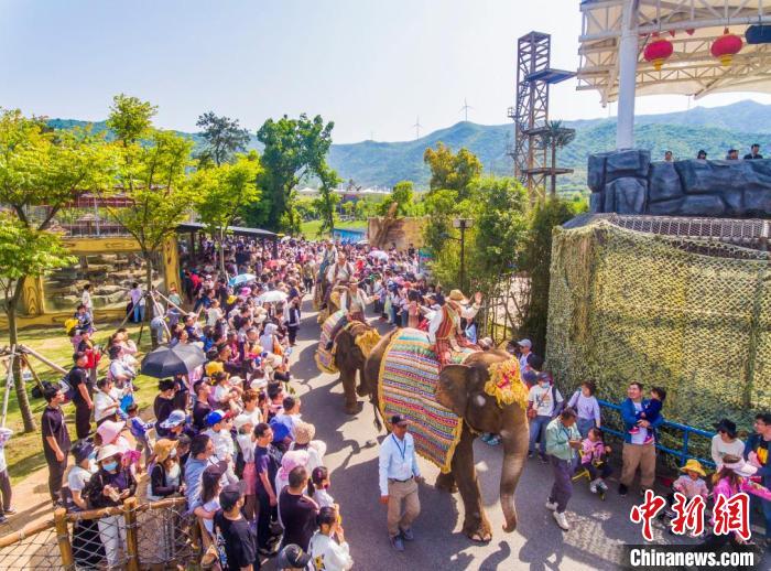 太湖龙之梦乐园 周苏森 摄 太湖龙之梦乐园 周苏森 摄