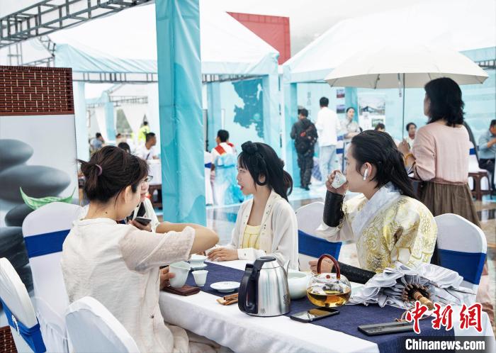 图为游客品茗。福鼎市委宣传部 供图