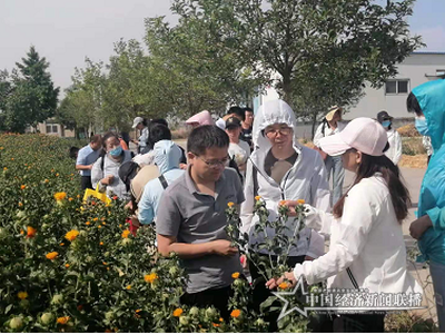 微信图片_20210531100702 (1).png