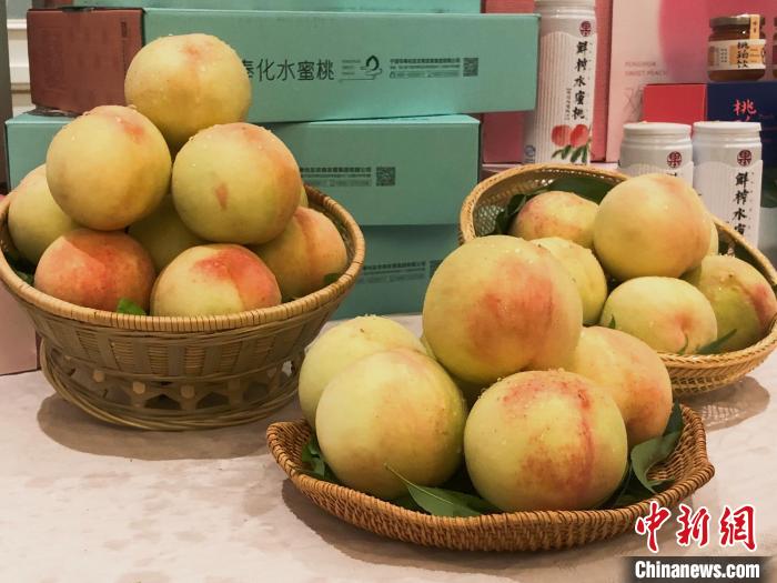 奉化水蜜桃。林波 摄