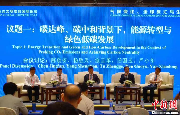 图为论坛现场 a target='_blank' href='http://www.chinanews.com/' 中新网/a 郎朗 摄 图为论坛现场 a target='_blank' href='http://www.chinanews.com/' 中新网/a 郎朗 摄