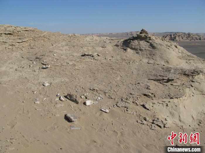 采集前的恐龙化石。中科院古脊椎所 供图