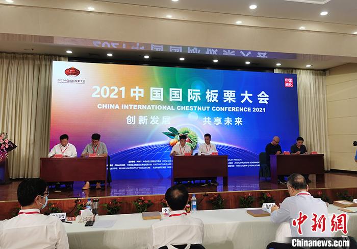 2021中国国际板栗大会现场。记者 陈溯 摄 2021中国国际板栗大会现场。记者 陈溯 摄