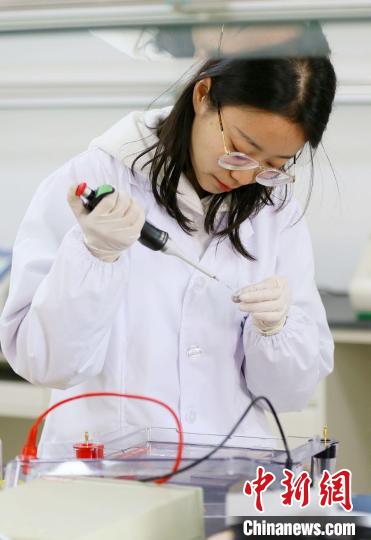 2021年1月8日，兰州高新区留学人员创业园内，科研人员在进行琼脂糖凝胶电泳实验。(资料图) 高展 摄