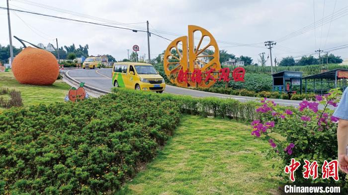 图为宜宾市江安县“金通工程”客运车辆行驶在乡村公路上。王鹏 摄