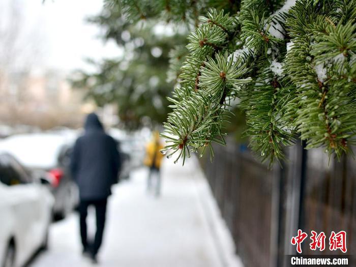 长春出现冻雨。郭佳 摄 长春出现冻雨。郭佳 摄